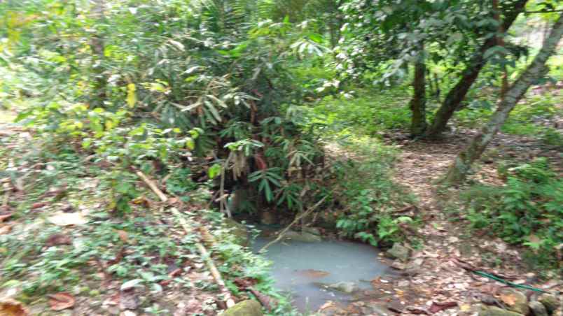 dijual tanah seluas 137 876 m2 seharga 5 82m lampung