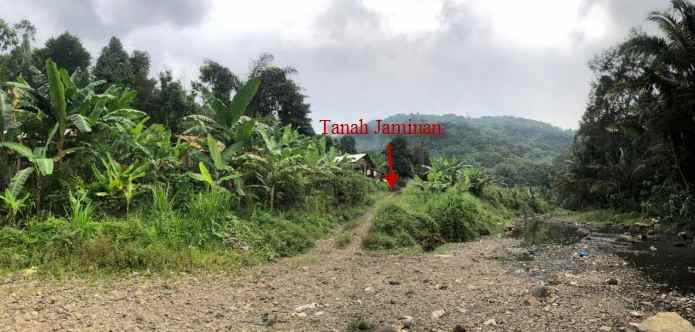 dijual tanah seluas 137 876 m2 seharga 5 82m lampung