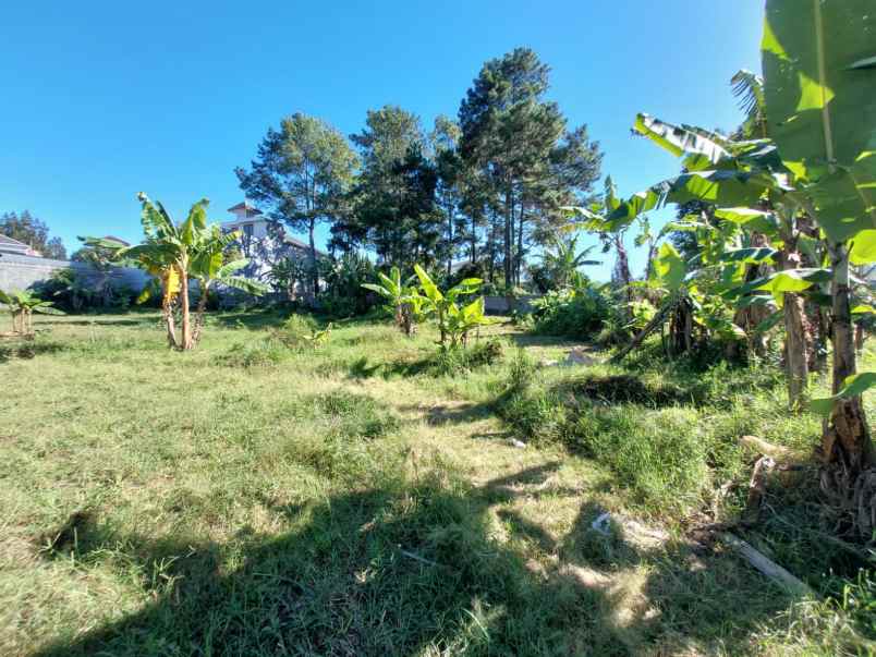 dijual tanah sersan bajuri