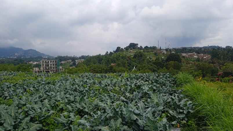 dijual tanah sersan bajuri