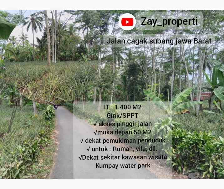 dijual tanah subang