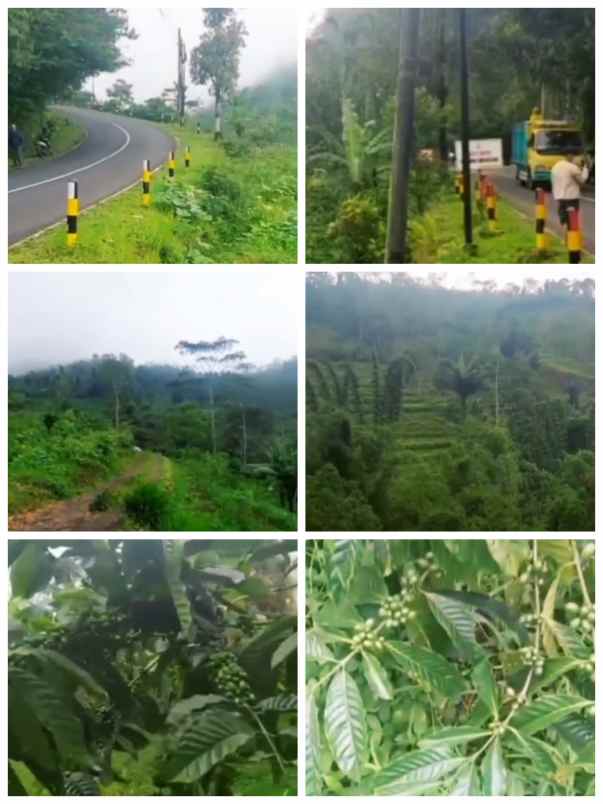 dijual tanah temanggung jateng