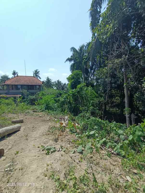 dijual tanah ubud gianyar bali