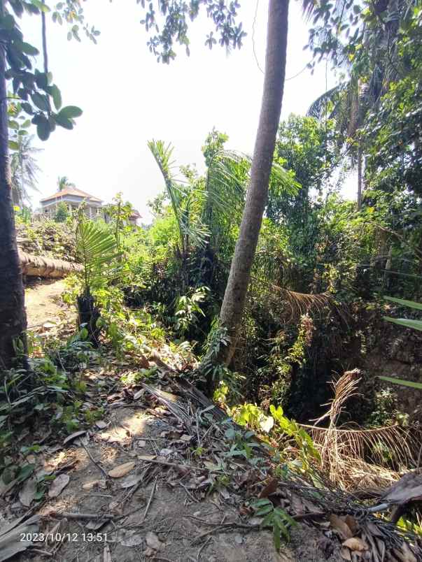 dijual tanah ubud gianyar bali