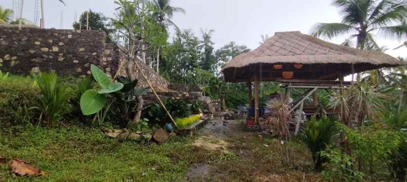 dijual tanah untuk villa dekat pantai
