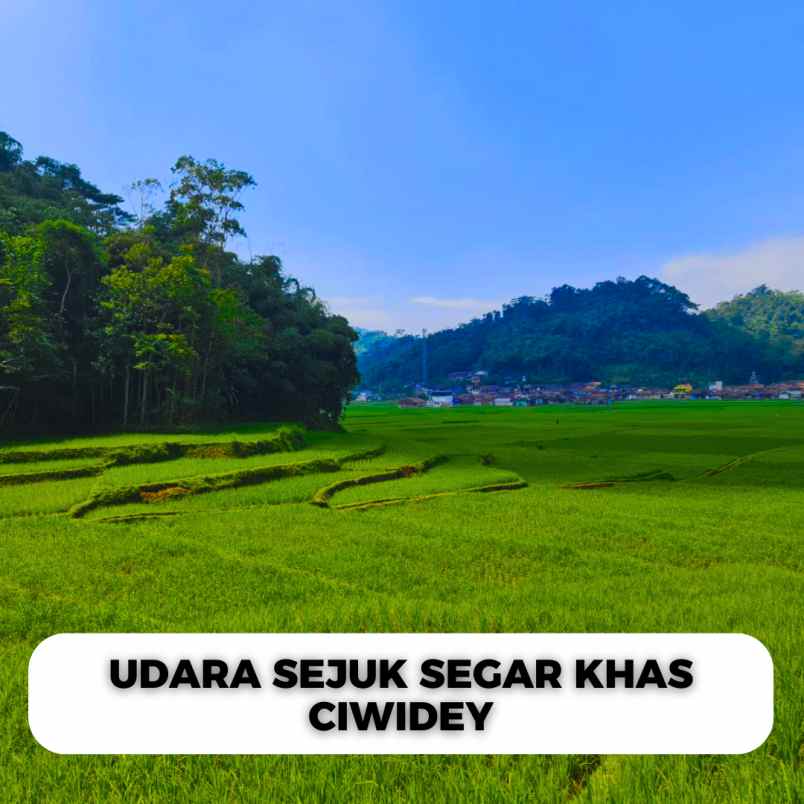 jual tanah ciwidey cocok untuk villa