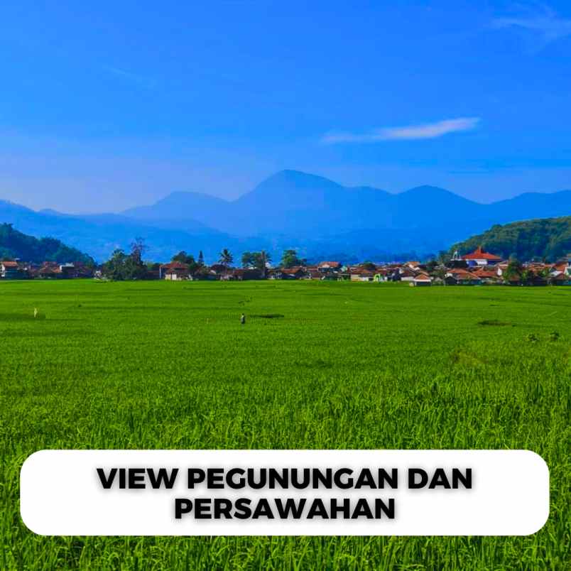 jual tanah ciwidey cocok untuk villa