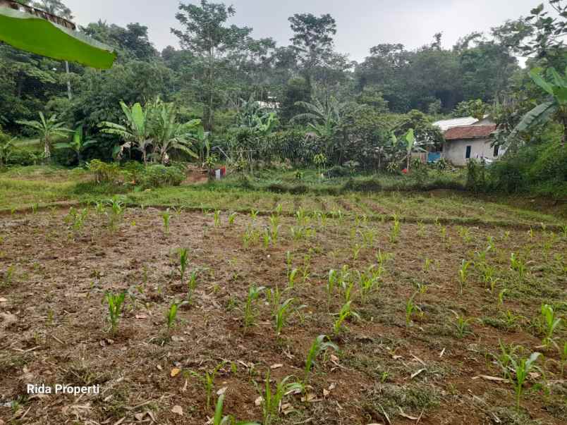 jual tanah kebun luas 2000 meter surat sppt girik