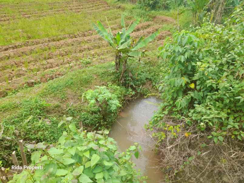 jual tanah kebun luas 2000 meter surat sppt girik