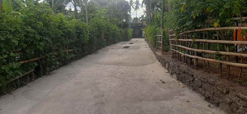 jual tanah murah di sentral lovina