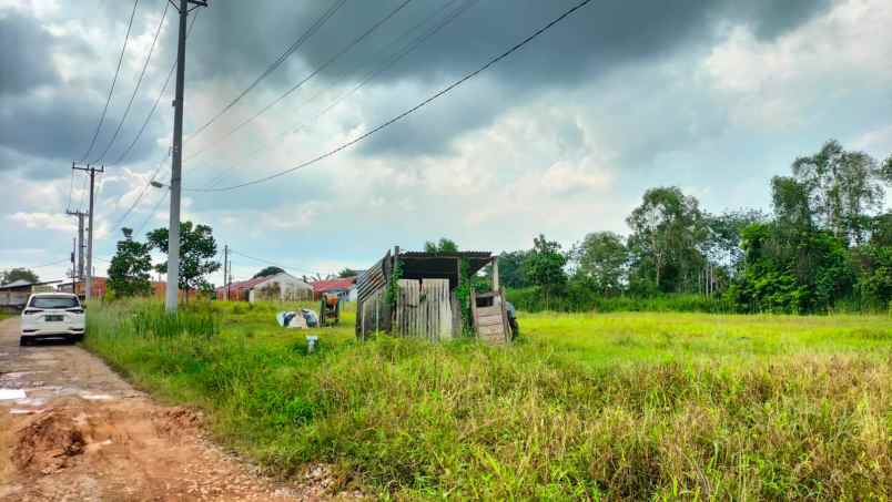 jual tanah murah tanjung barangan