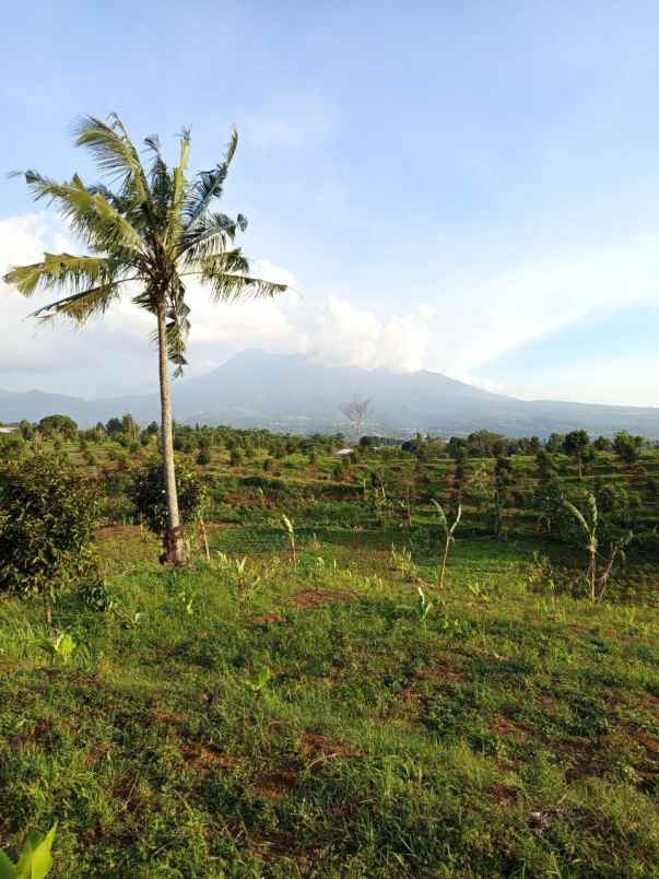 jual tanah puncak cisarua bogor