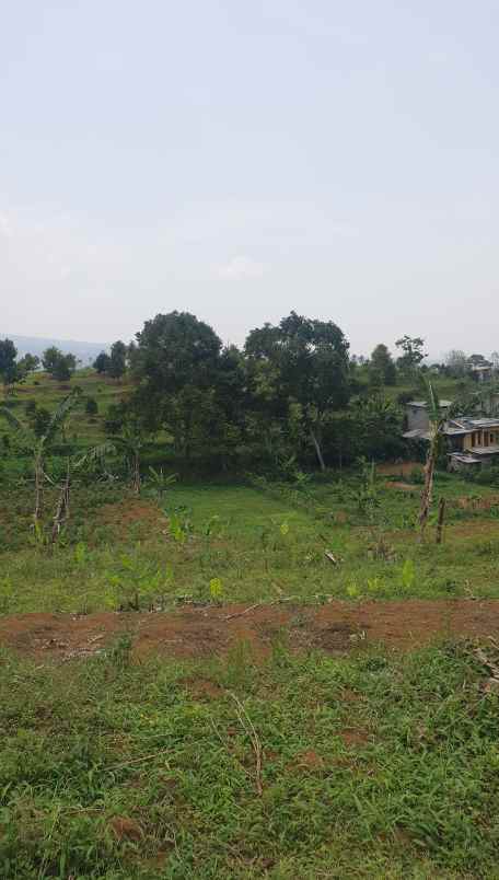 jual tanah puncak cisarua bogor