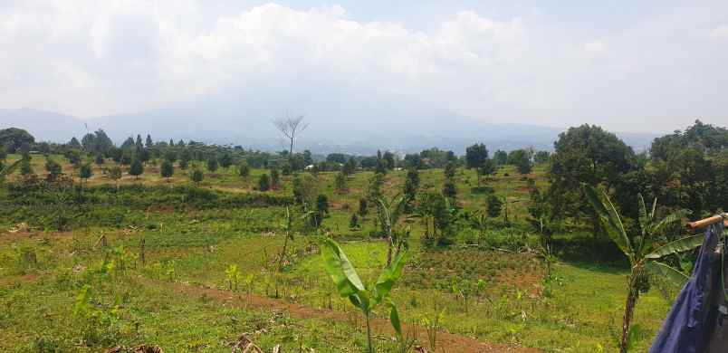 jual tanah puncak cisarua bogor