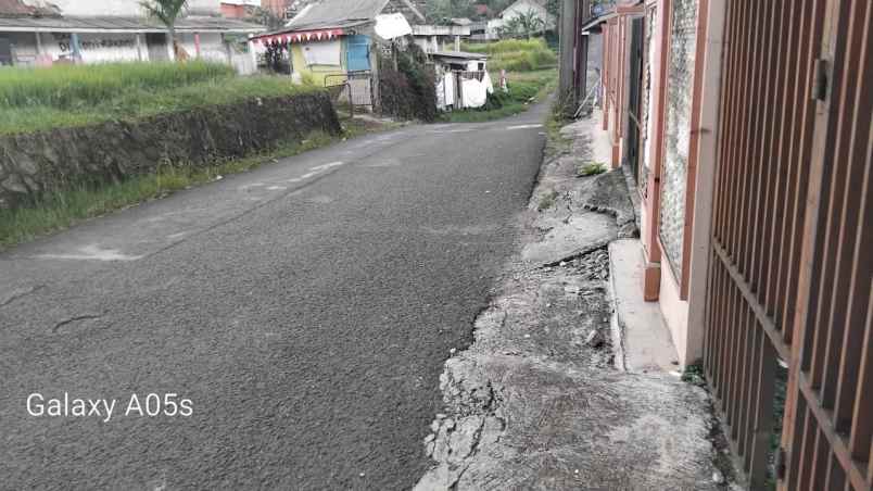 jual tanah sawah ples kolam ikan udah ada gajebonya