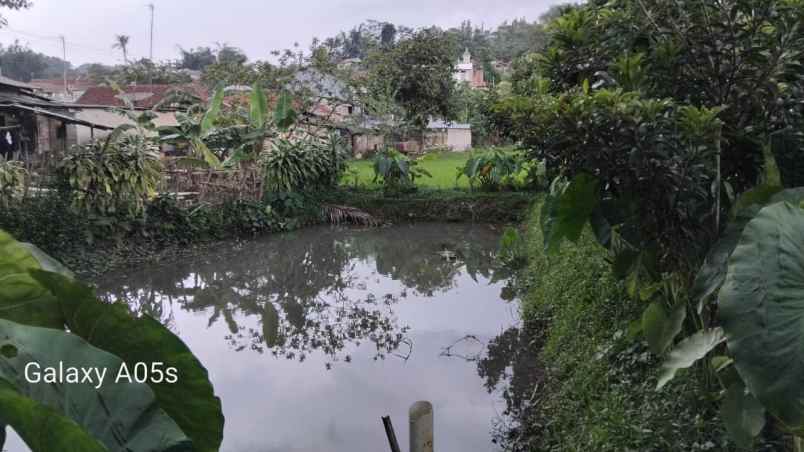 jual tanah sawah ples kolam ikan udah ada gajebonya