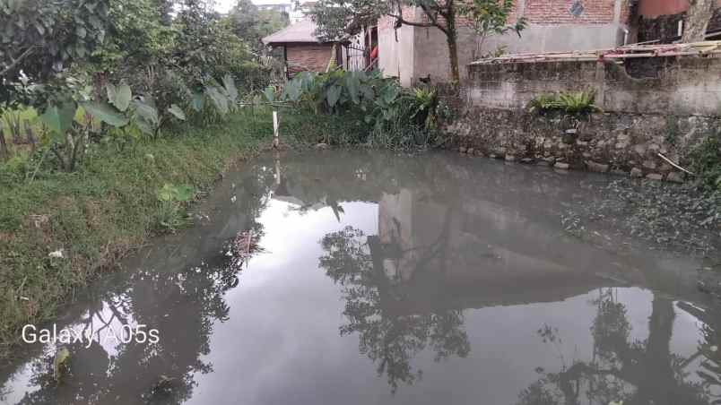 jual tanah sawah ples kolam ikan udah ada gajebonya