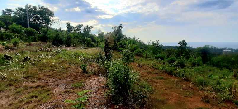 jual tanh dgn vew laut sawah dn bukit di lovina