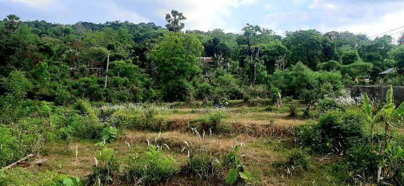 jual tanh dgn vew laut sawah dn bukit di lovina