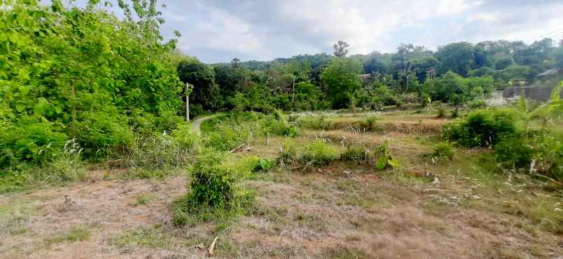 jual tanh dgn vew laut sawah dn bukit di lovina