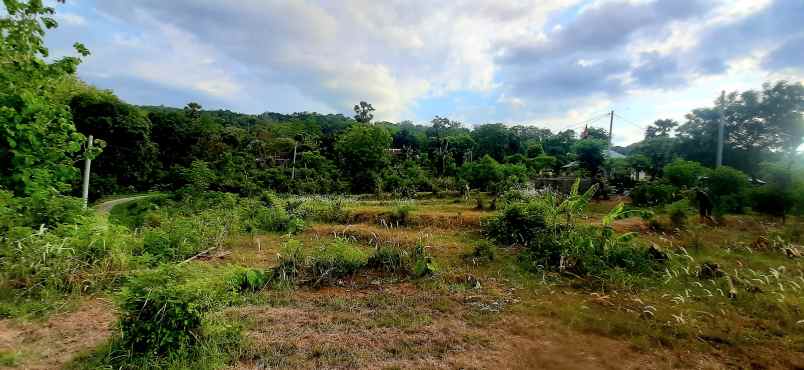 jual tanh dgn vew laut sawah dn bukit di lovina