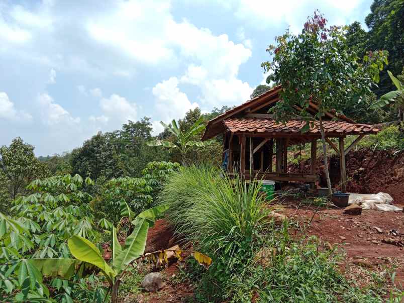 kebun durian curug agung subang jawa barat