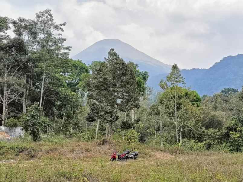 lahan istimewah di trawas