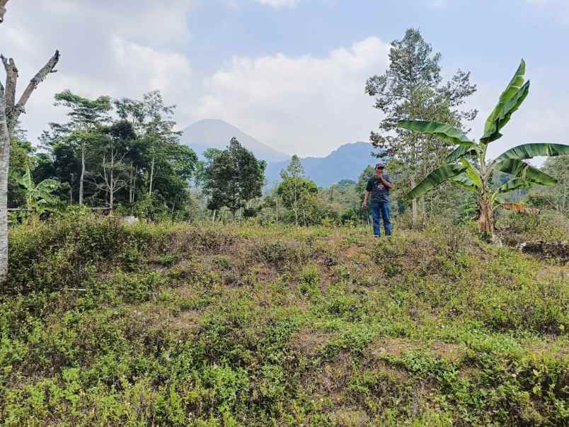 lahan istimewah di trawas