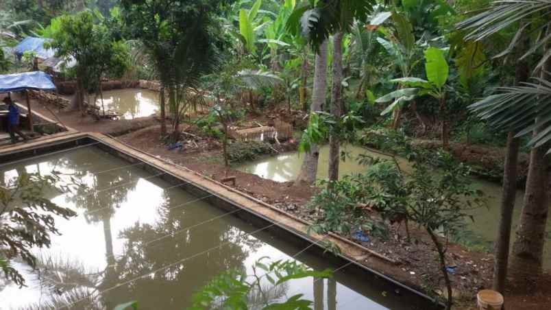 ruko gudang kantor jalan cinangsi desa