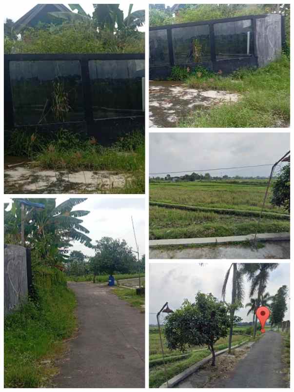 rumah 304m2 polanharjo klaten view sawah 480jt nego
