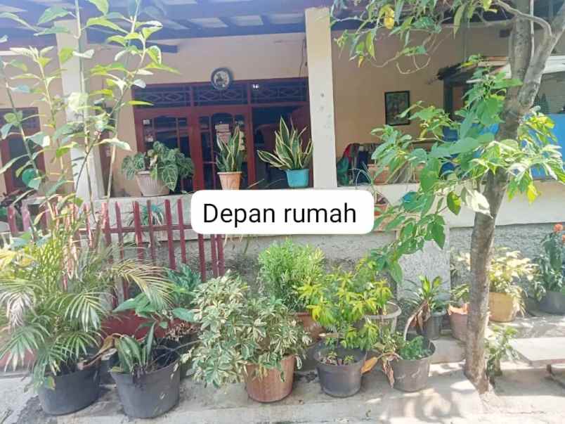 rumah dijual di perumahan tanah baru permai kota bogor