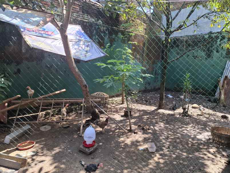 rumah luas di slawu jember jl cendrawasih