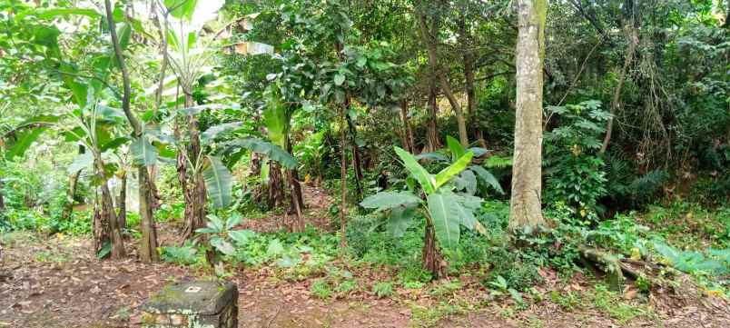 rumah second hitung tanah luas di bedahan depok