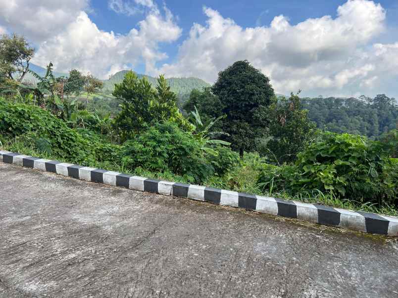 tanah 1150m dekat wisata grojogan sewu tawangmangu