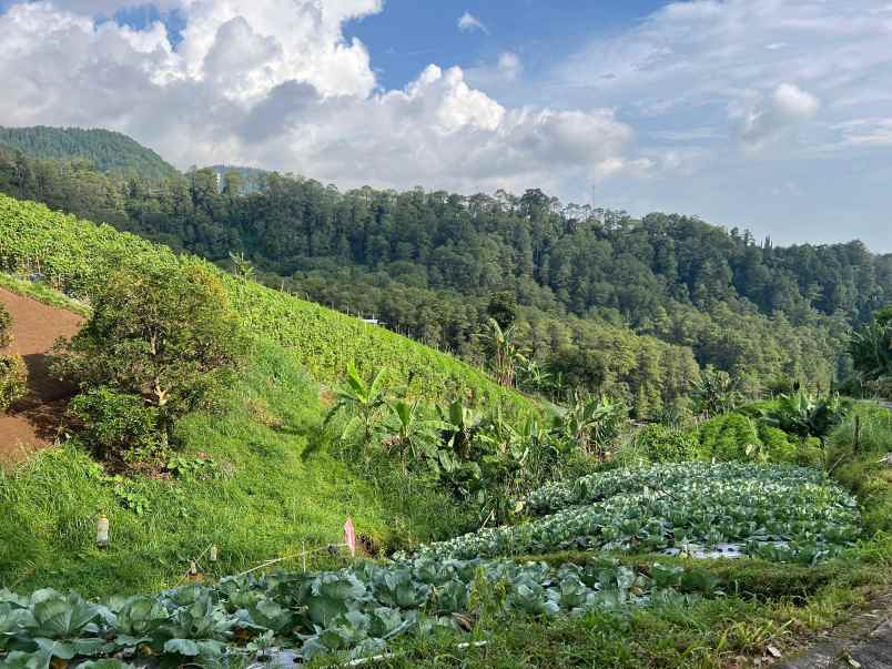 tanah 1150m dekat wisata grojogan sewu tawangmangu