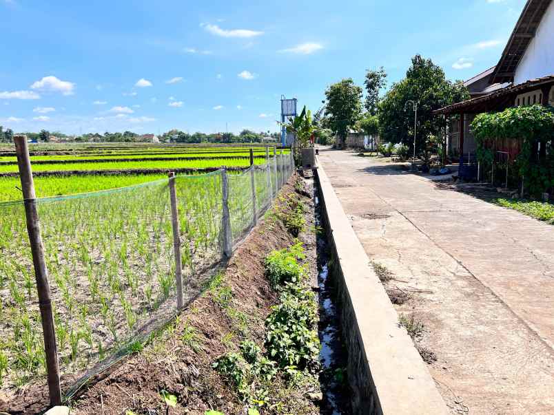 tanah 135 juta timur puskesmas kedawung