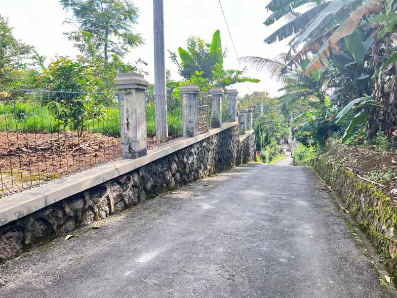 tanah 225 juta udara dingin ngargoyoso