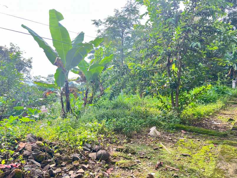 tanah 225 juta udara dingin ngargoyoso