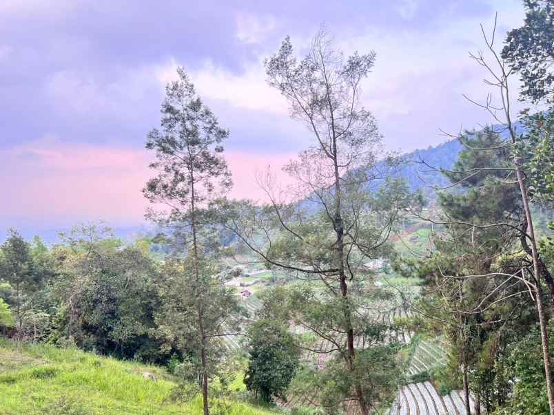 tanah 275 juta kawasan wisata ngargoyoso