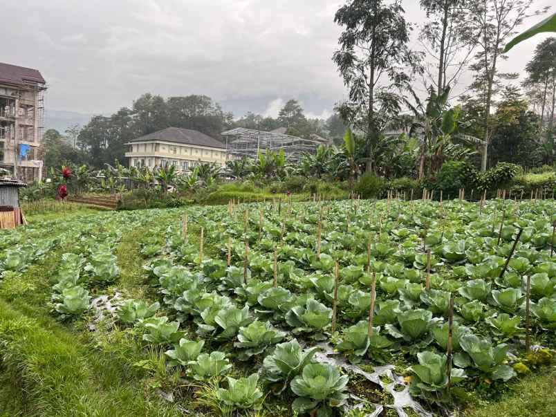 tanah 300m kawasan wisata strategis tawangmangu