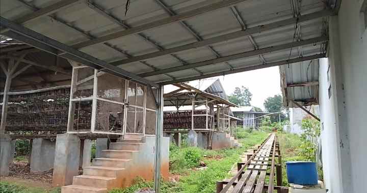 tanah bangunan kandang ayam petelur subang jawa barat