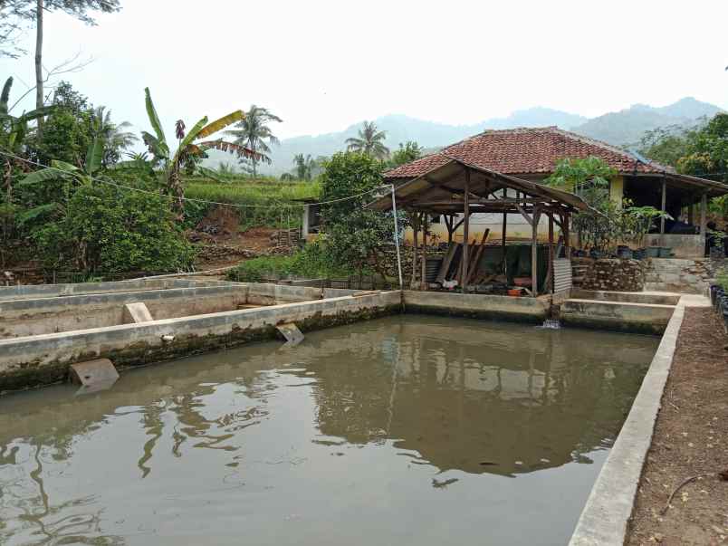 tanah dan bangunan kolam cisalak subang jawa barat