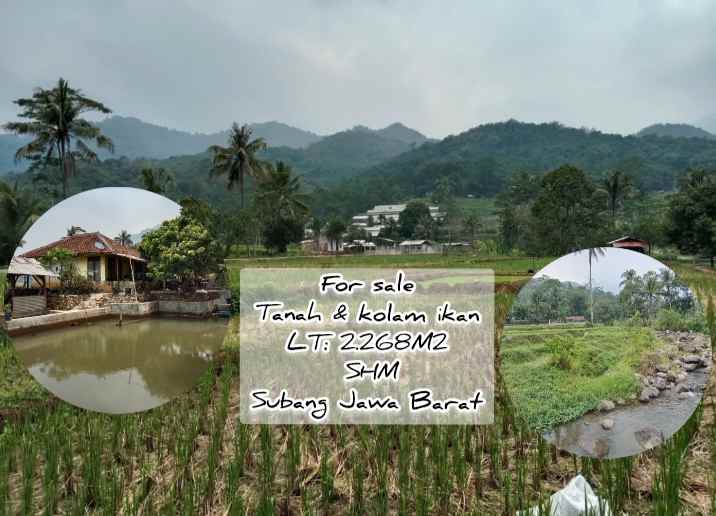 tanah dan bangunan kolam cisalak subang jawa barat