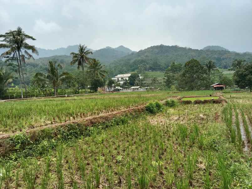 tanah dan bangunan kolam cisalak subang jawa barat