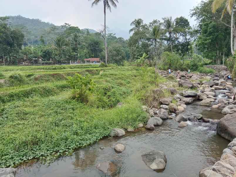 tanah dan bangunan kolam cisalak subang jawa barat