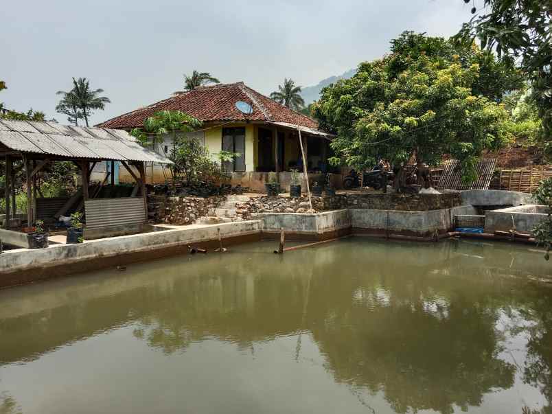 tanah dan bangunan kolam cisalak subang jawa barat