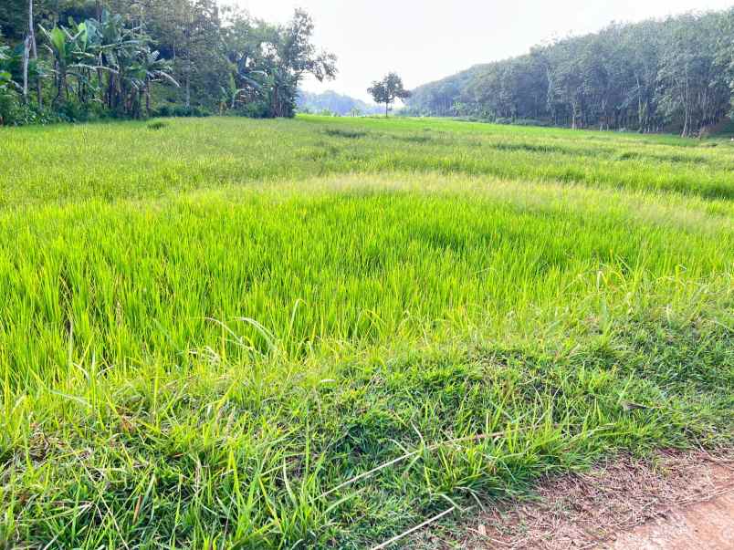 tanah datar hook 2274m kerjo karanganyar