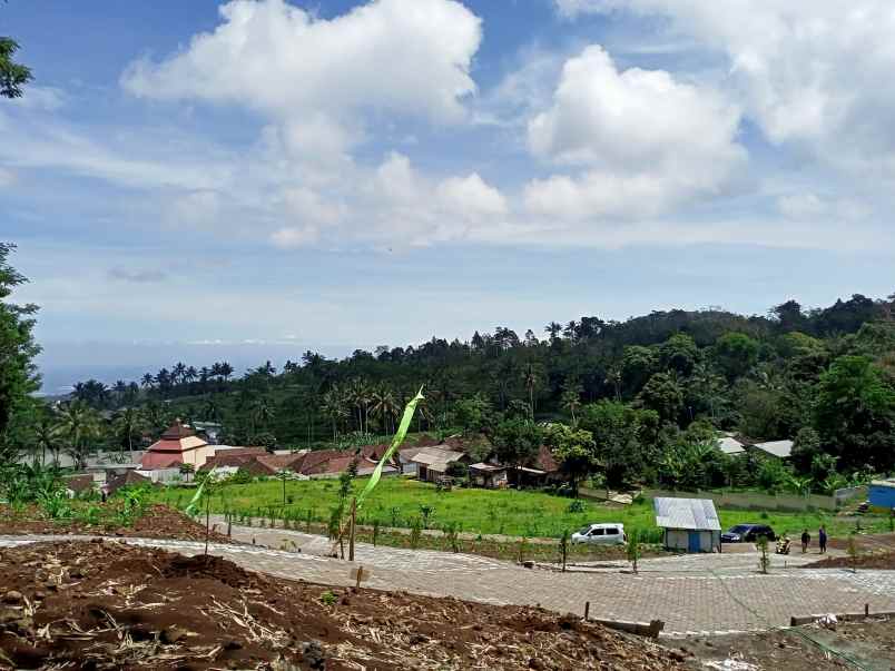 tanah desa gerbo kecamatan purwodadi