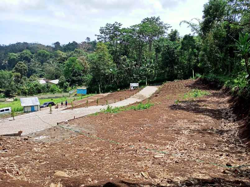 tanah desa gerbo kecamatan purwodadi