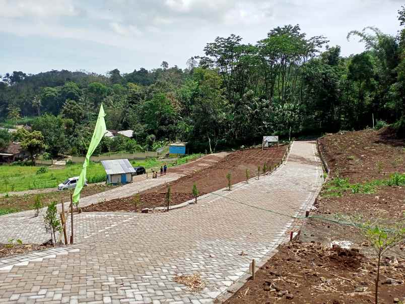 tanah desa gerbo kecamatan purwodadi